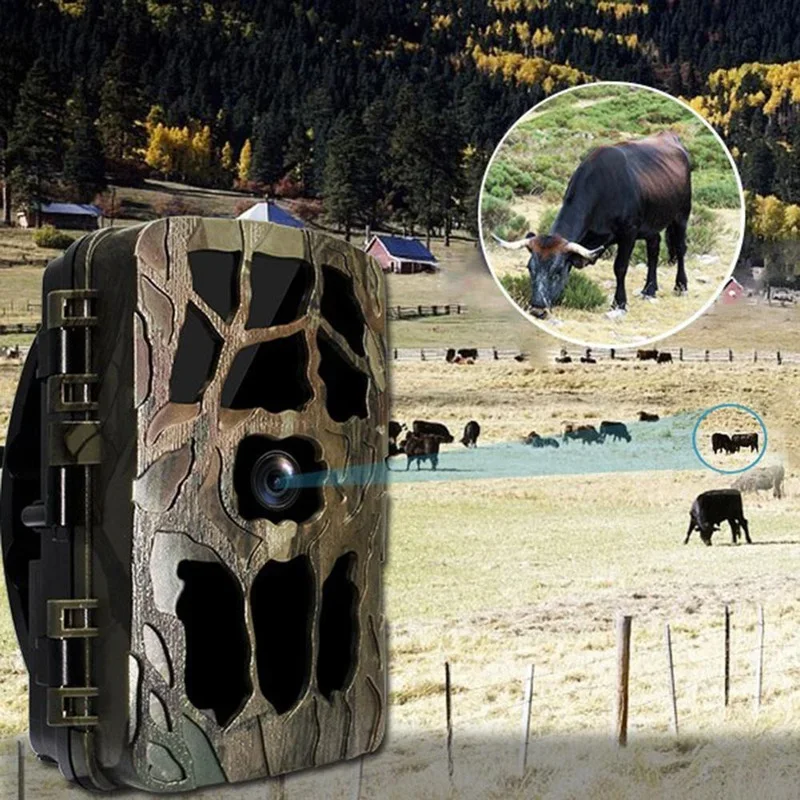 H982 IP66 Waterproof 4K Outdoo - Outdoor Hunting Images 评论和价格